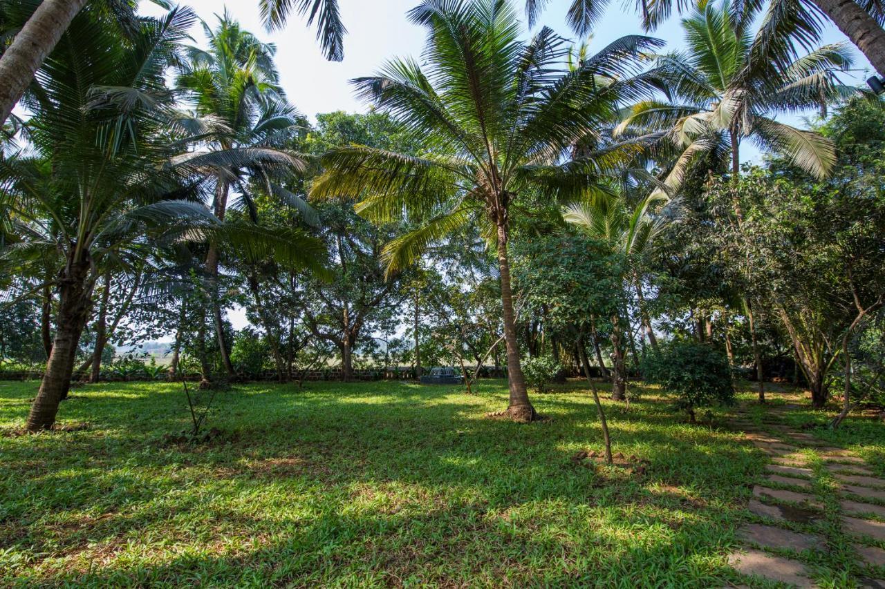 Rosastays South Goa カベロッシム エクステリア 写真